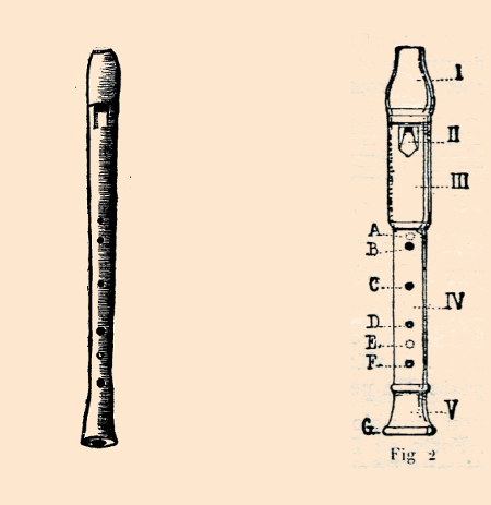 two drawings of beak flageolets