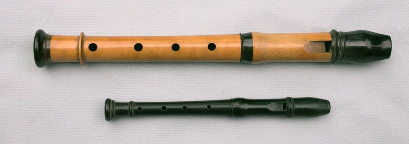 a large flageolet and a bird flageolet side by side